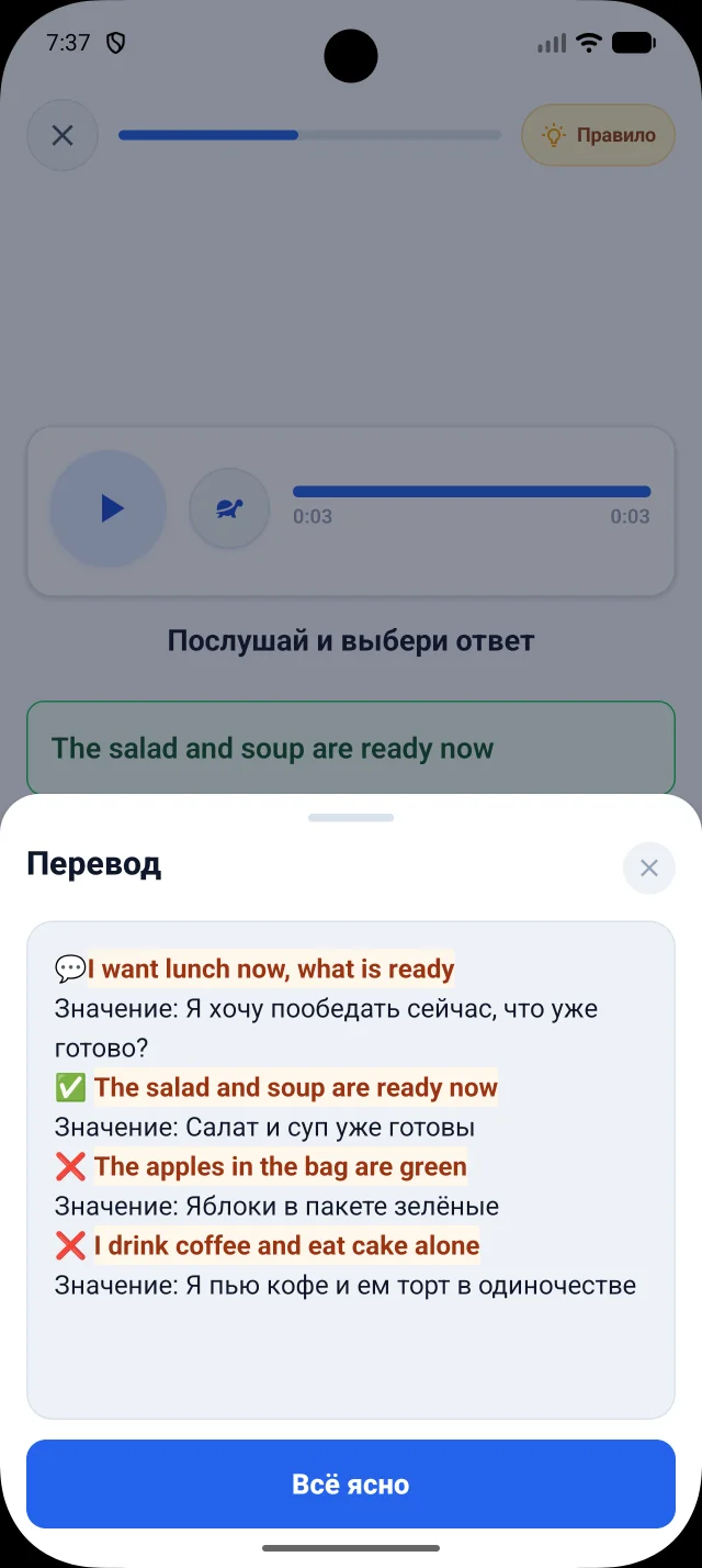 Реальный мобильный экран DuoNiche на русском интерфейсе с открытым переводом внутри сессии английского.